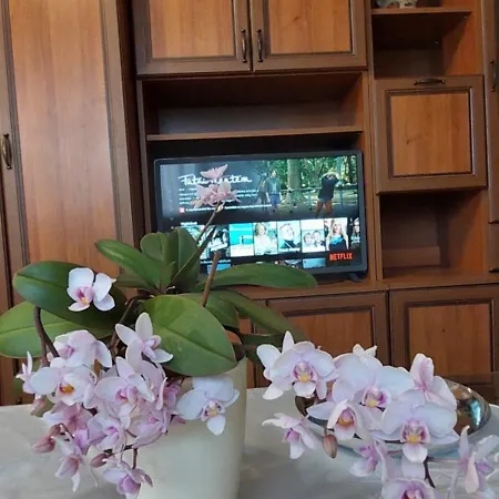 Summer Kardos アパート *